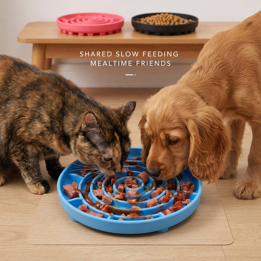 Pet Anti-Choking Slow Eating Bowl
